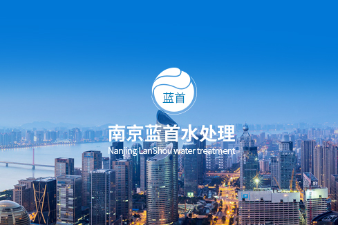 阜南建站-南京蓝首水处理设备有限公司