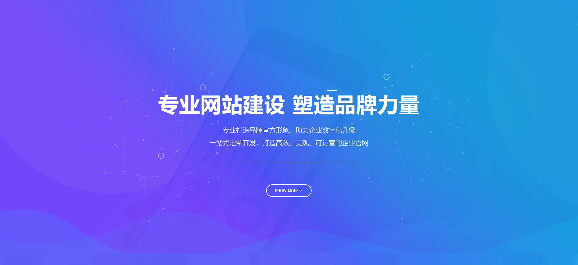 阜阳建站-专业网站建设 塑造品牌力量