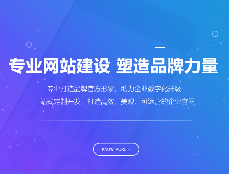 阜阳建站-专业网站建设 塑造品牌力量